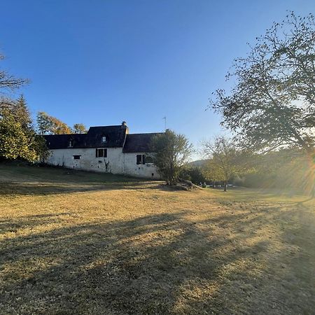 הוילה Carlux Domaine Du Bonheur En Pierre Avec Piscine, Proche Sarlat מראה חיצוני תמונה